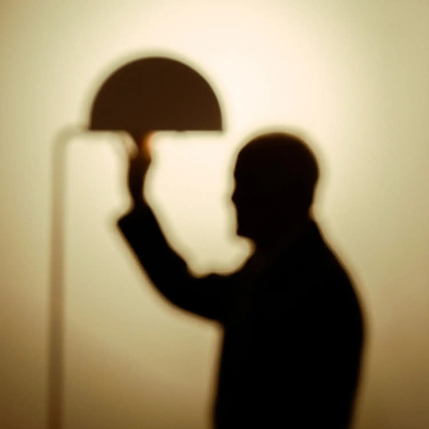 Silhouette di una figura che regge la testa della Mezzaluna, in controluce, DCW éditions